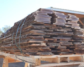 Black Walnut Slabs (500 Board Feet)