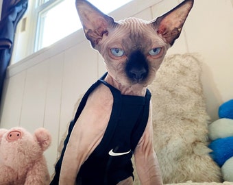 designer cat clothes