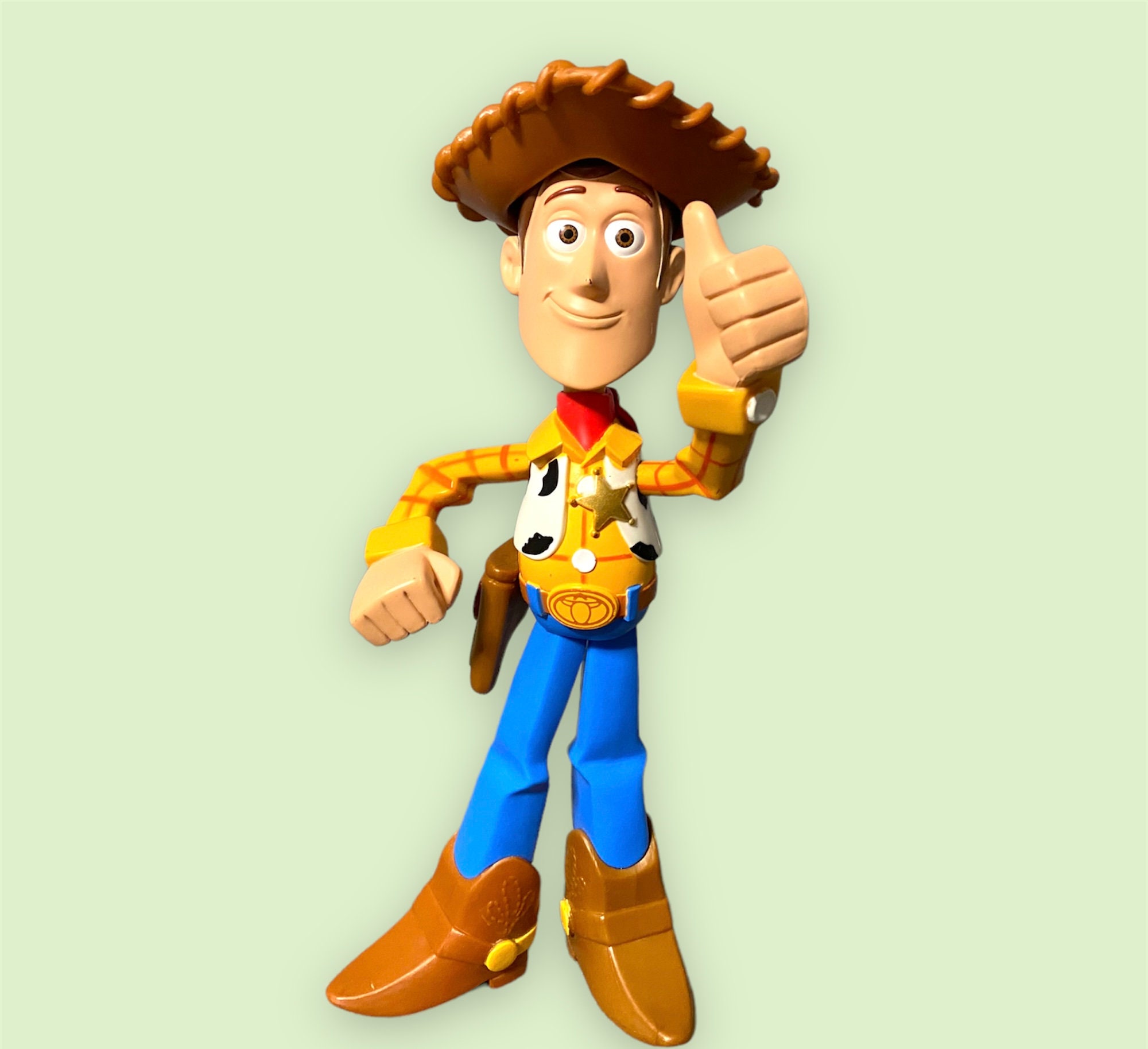 Toystory Woody Voice pic