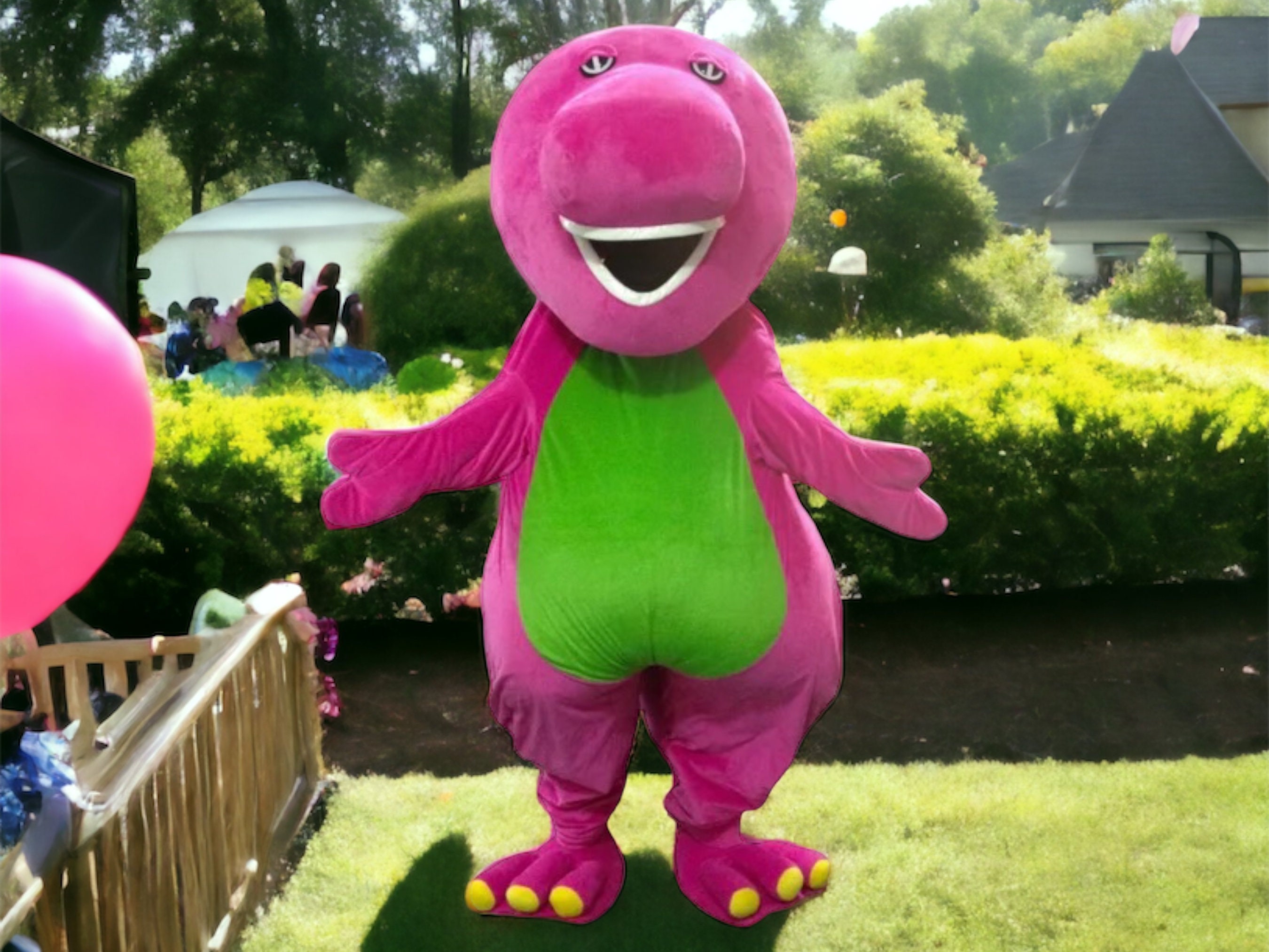 Barney costume on sale