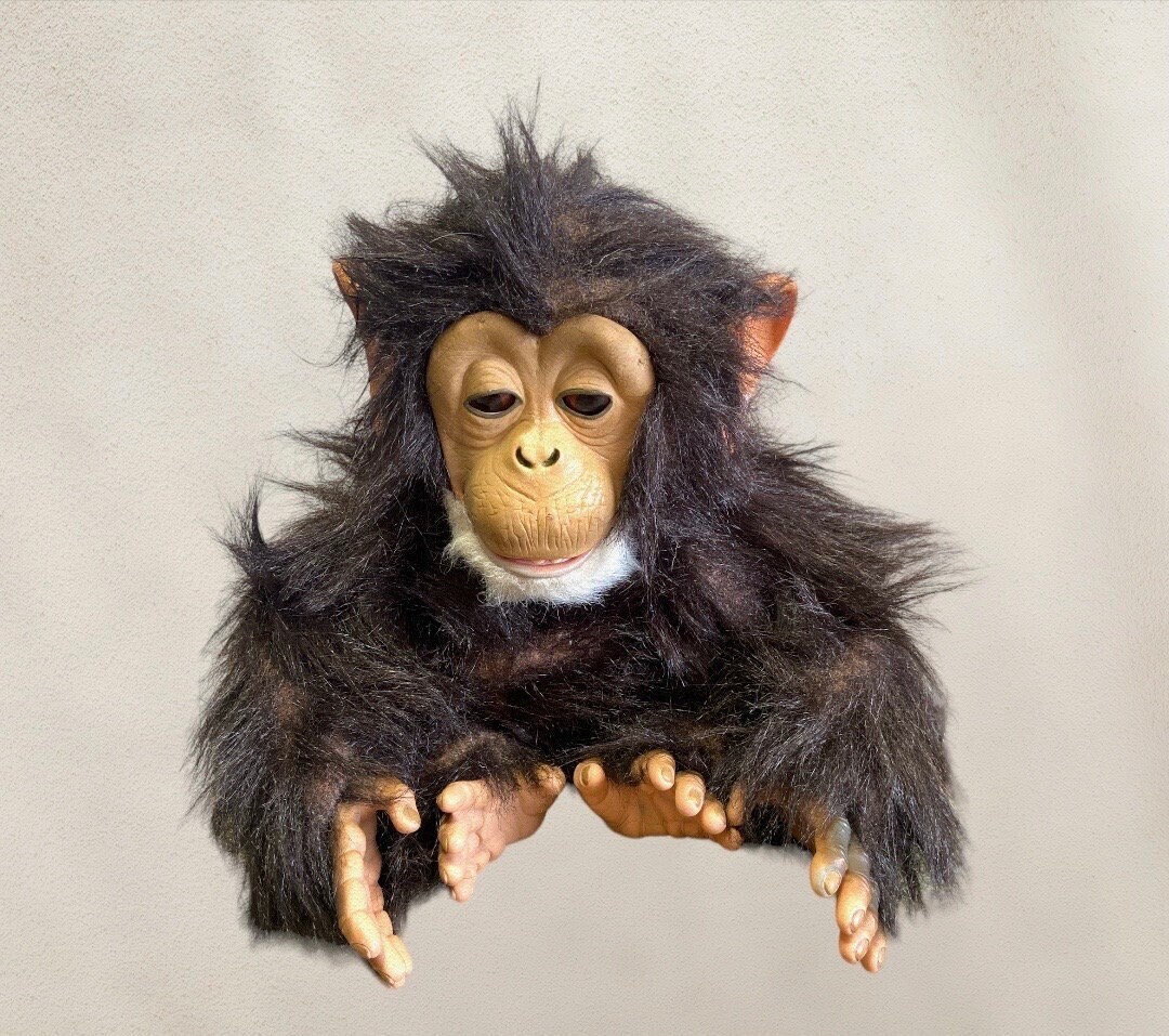 Hasbro Furreal Friends Cuddle Chimp Talking Chimpanzee Monkey Etsy