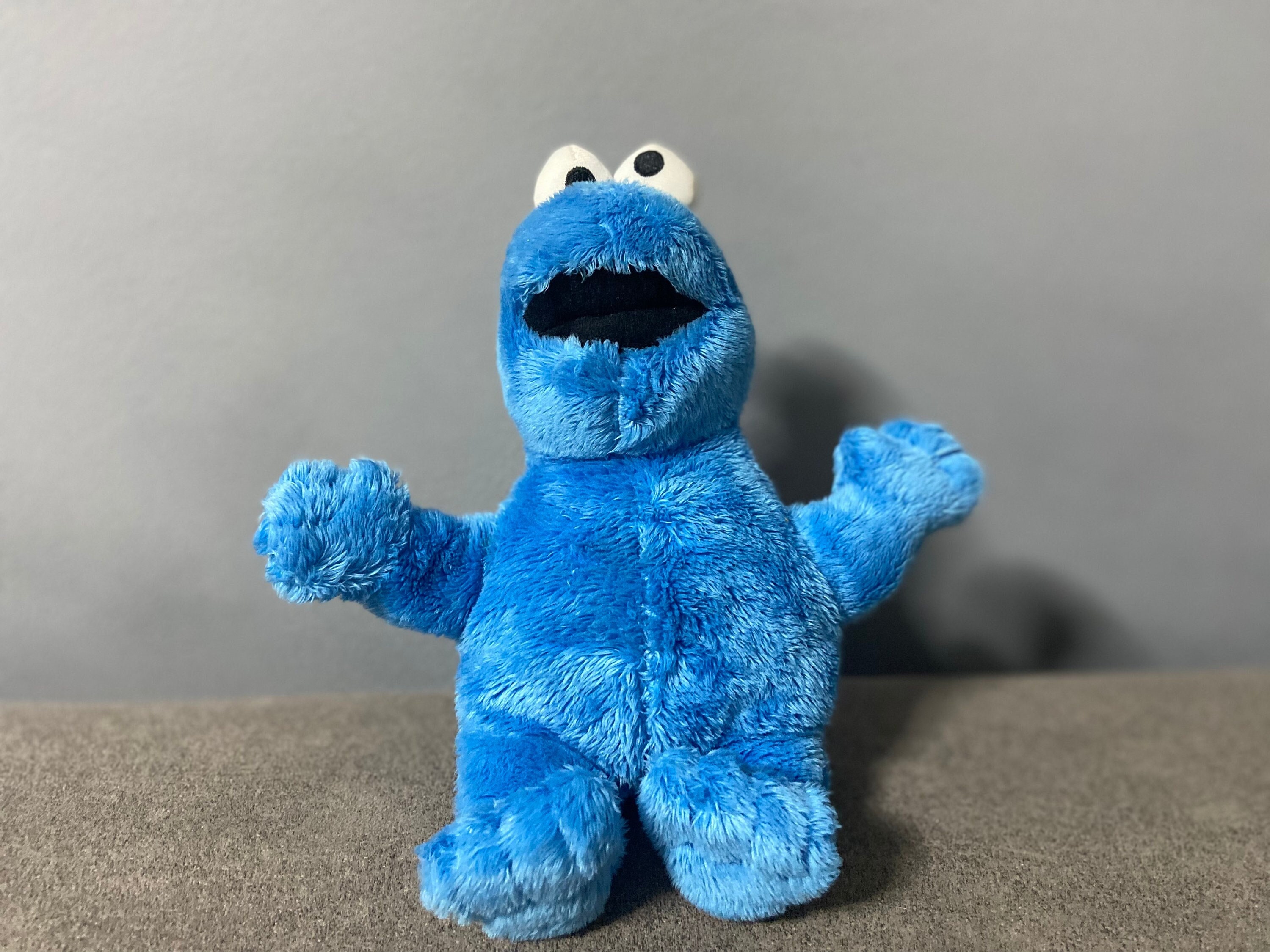 rek Nadruk Leeg de prullenbak Sesamplaats Sesamstraat Cookie Monster Pluche Knuffel - Etsy Nederland