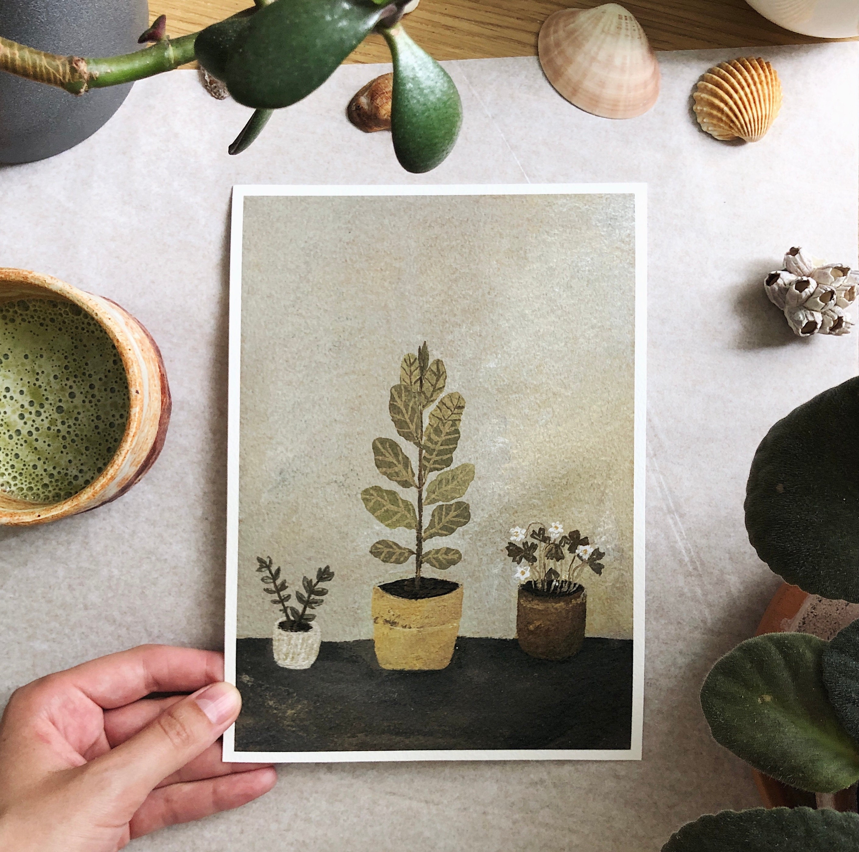 Home Plants / Giclée print / High quality art print / Cotton Etsy