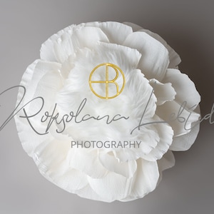 Newborn Digital background white flower