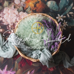 Newborn digital background