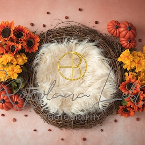Newborn Digital Backdrop Fall