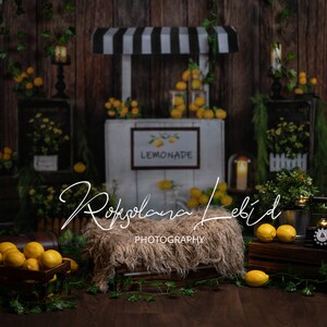 Digital newborn backdrop lemon