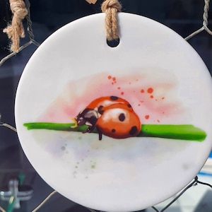 Watercolour Ladybug Ceramic Decoration for Garden Lovers Hand Drawn Nature Art Hanging Trinket Gift for Grandmother Nan Tree Mother