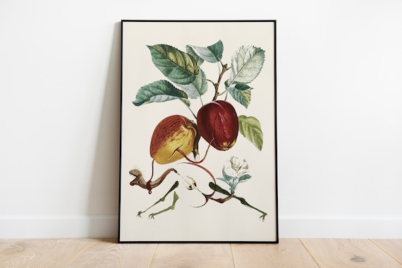 サルバドール・ダリ キャンバス・水彩 画集「Salvador Dali」 : Salvador Daliサルバドール・ダリ画家の作品《ホルスを呑み込む》 キャンバス アートパネル ポスター 壁アート  モダン リビング ベッドルーム 部屋飾り 油彩画08x12inch(20x30cm) : ホーム＆キッチン