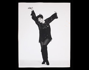 LIZA MINNELLI Vintage Foto, c.1991, seltener Druck