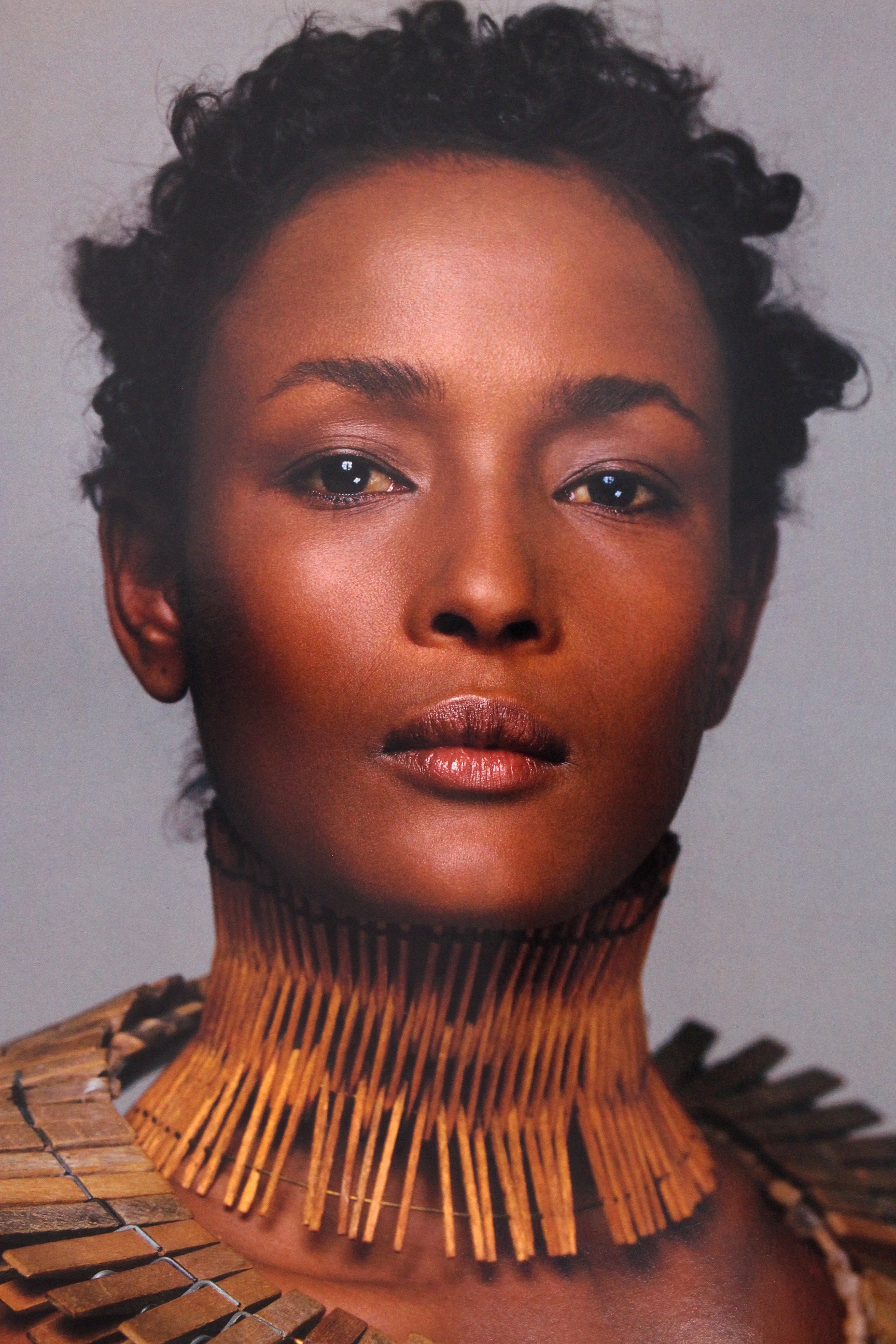 RICHARD AVEDON Pirelli Calendar Nude Art Photographic Image of Model