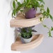 Corner wooden rounded shelf with edging, wall shelf, plant shelf, floating corner shelves hidden hardware, rounded corner shelf