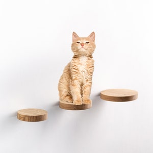 Floating Cat Shelves Minimalistic Wooden Pet Furniture Wall Mounted Cat Steps Modern cat furniture