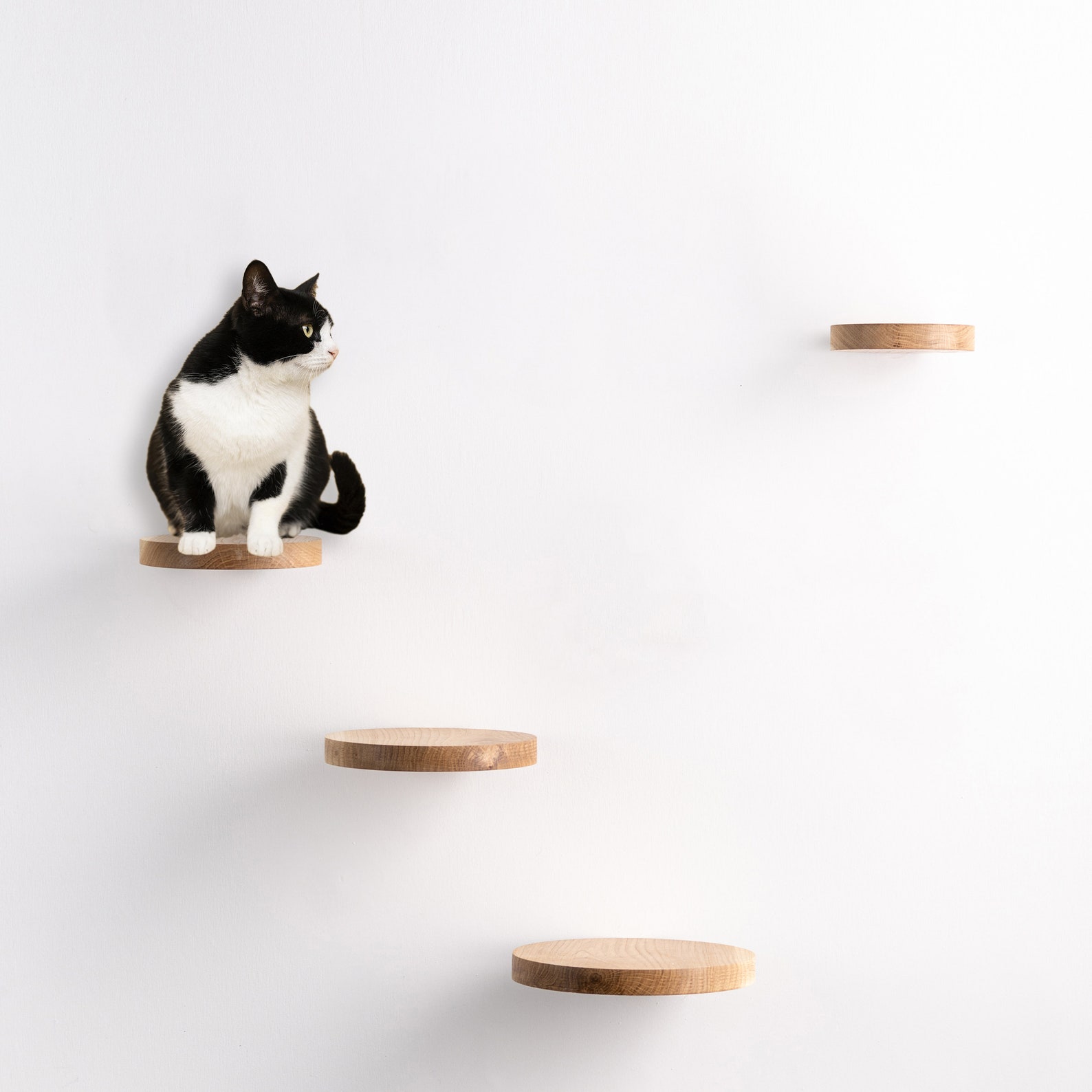 Image showcasing Floating Cat Shelves Minimalistic Wooden Pet Furniture Wall | Etsy