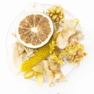 Könnte beinhalten: Ein klarer Glasteller enthält getrocknete Botanicals. Eine halbierte, getrocknete Zitrusfrucht steht im Mittelpunkt, umgeben von gelben und cremefarbenen getrockneten Blumen und Samenkapseln. Die Anordnung befindet sich vor einem weißen Hintergrund.
