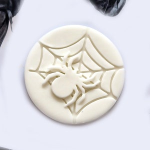 May include: White fondant cookie cutter with a spider and web design.
