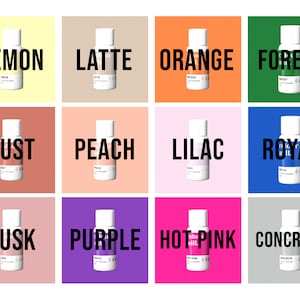 May include: Twelve small bottles of paint in various colors, including lemon, latte, orange, forest, rust, peach, lilac, royal, dusk, purple, hot pink, and concrete. Each bottle has a white label with the color name printed in black.
