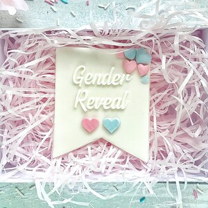 Gender Reveal, Baby Shower Embosser Stamp - Gender Reveal With 2 Hearts Reverse Embosser