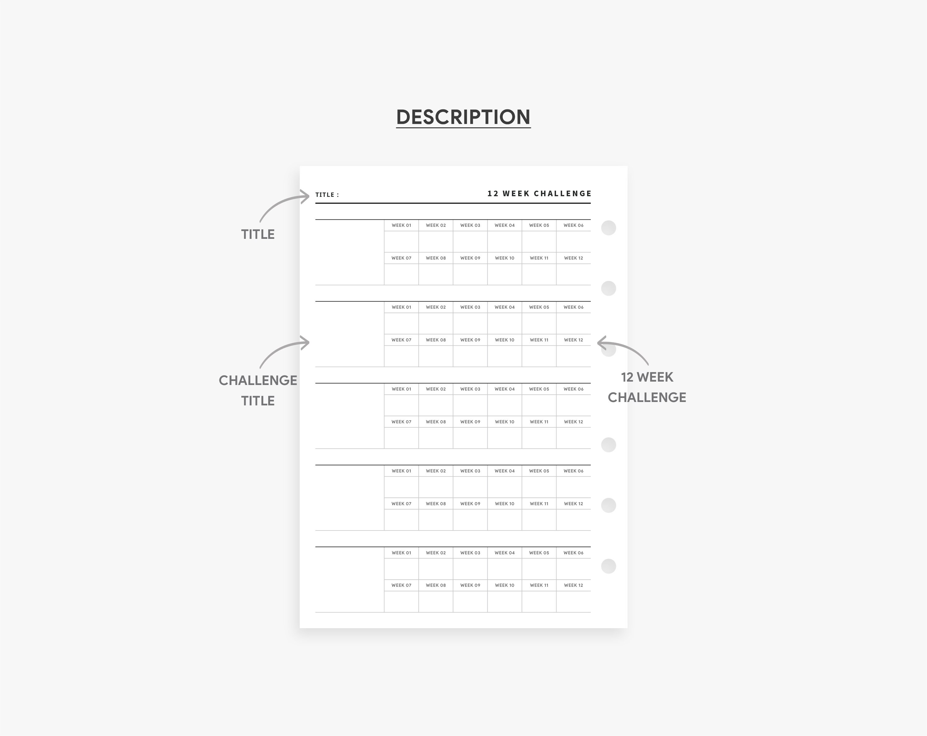 12 Week Challenge, Habits Tracker, 12 Week Tracker, Challenge Tracker