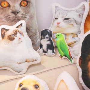 Op de afbeelding: Een verzameling kleurrijke kussens met verschillende dierengezichten, waaronder katten, honden en een papegaai. De kussens zijn gemaakt van zacht materiaal en zijn perfect om elke kamer een persoonlijke touch te geven.