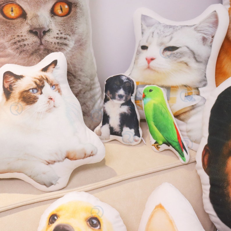 Op de afbeelding: Een verzameling kleurrijke kussens met verschillende dierengezichten, waaronder katten, honden en een papegaai. De kussens zijn gemaakt van zacht materiaal en zijn perfect om elke kamer een persoonlijke touch te geven.