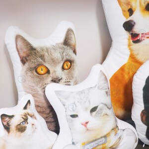 Peut inclure: Quatre housses de coussin blanches avec des visages d'animaux diff&eacute;rents imprim&eacute;s dessus. Les coussins pr&eacute;sentent un chat gris, un chat blanc, un chat brun et blanc et un chien brun et blanc.
