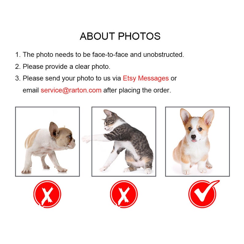 Peut inclure: Trois images montrant des exemples de bonnes et de mauvaises photos pour un portrait d'animal de compagnie personnalis&eacute;. La premi&egrave;re image montre un bouledogue fran&ccedil;ais regardant loin de l'appareil photo, marqu&eacute; d'une croix rouge. La deuxi&egrave;me image montre un chat regardant loin de l'appareil photo, marqu&eacute; d'une croix rouge. La troisi&egrave;me image montre un Corgi regardant directement l'appareil photo, marqu&eacute; d'une coche verte.