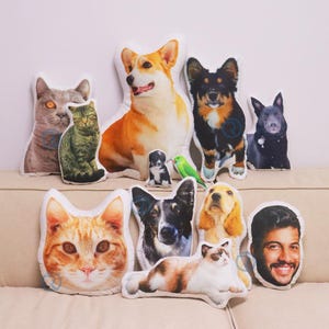 Custom Pet Pillow from Photo, Personalized Dog Pillow, Cat Pillow, Stuffed Animal Pillow, Pet Shaped Pillow, Cushion Gift for Pet Lovers afbeelding 2