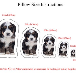 Various sizes of custom pet face pillows - small, medium, and large options for personalized pet portrait cushions