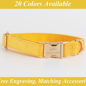 Yellow Velvet Dog Collar: Engraved Buckle, Personalized Puppy Gift