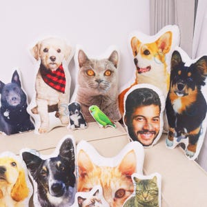 Personalized Pet Memorial Gifts For Dog Loss, Custom Pet Pillow From Photo, Dog Loss Gifts, 3D Shaped Pillow, Face Pillow