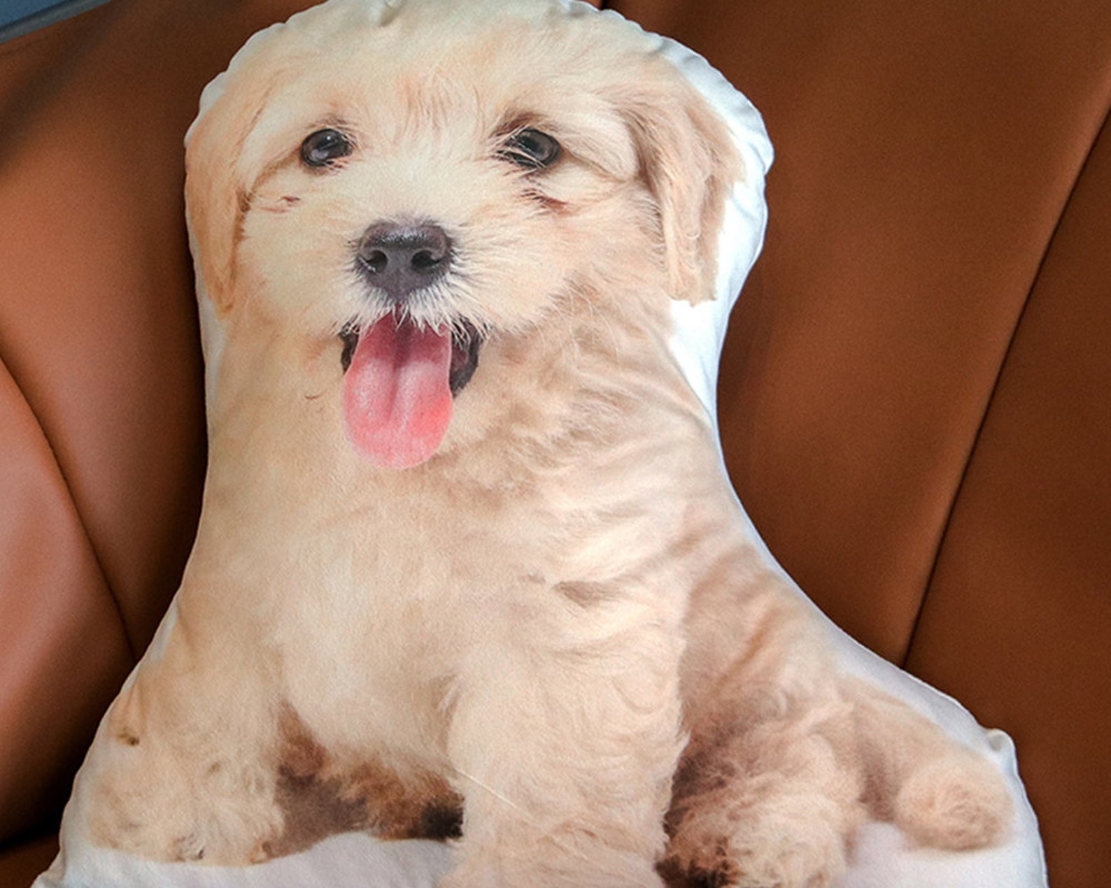 Gift for Him Gift for Her Pet Gift Personalized Pet Etsy