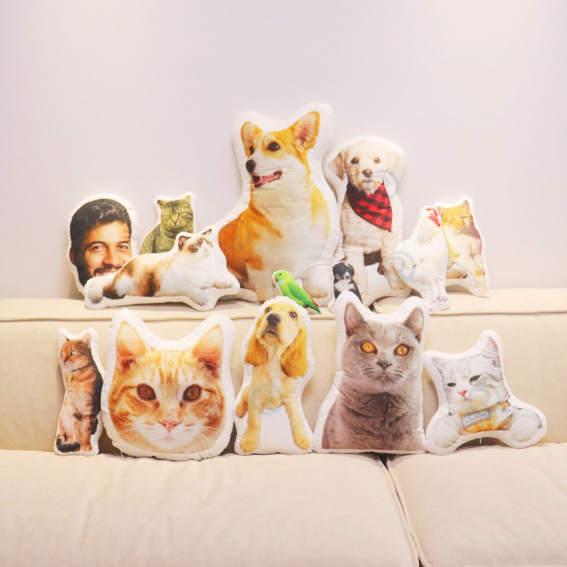 Peut inclure: Une collection d'oreillers personnalis&eacute;s pour animaux de compagnie repr&eacute;sentant diff&eacute;rents animaux, notamment des chats, des chiens et un oiseau. Les oreillers sont dispos&eacute;s sur un canap&eacute; blanc et pr&eacute;sentent diff&eacute;rentes races et expressions.