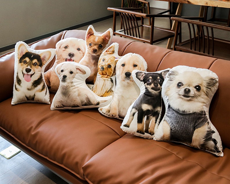 Custom Pet Pillow.