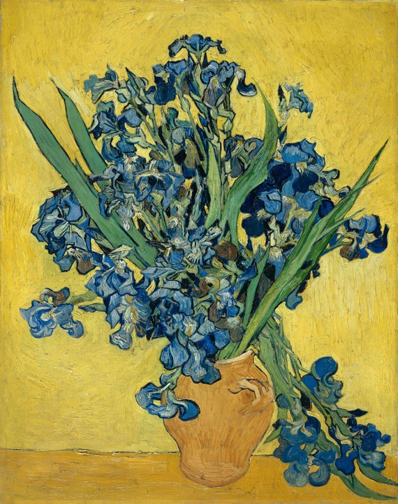 Bouck Paint by Number Kit for Adults - Van Gogh's Irises, Includes 14 inch, Brown