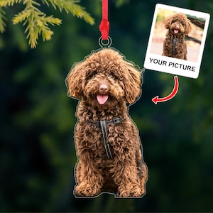 May include: A brown poodle dog ornament with a black harness. The ornament is hanging from a red string. The dog is sitting with its tongue sticking out. The ornament is a personalized gift with a space for a photo.