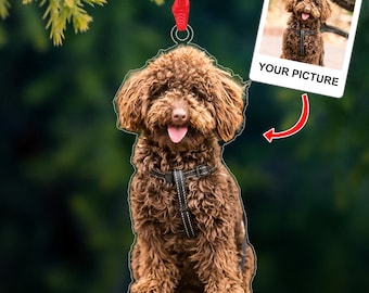 Personalized Pet Photo Ornament: Custom Acrylic Dog & Cat Memorial