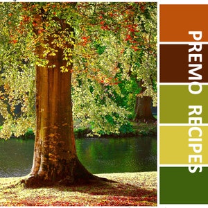 May include: A digital download of a colour palette inspired by an autumn scene. The palette features shades of brown, green, and yellow. The image shows a tree with autumn foliage near a lake.