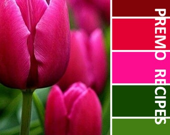 Polymer Clay Recipes #1203 - Rose Tulip