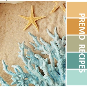 May include: A color palette inspired by a beach scene with a starfish and coral on sand. The palette includes shades of beige, orange, green, blue, and turquoise.