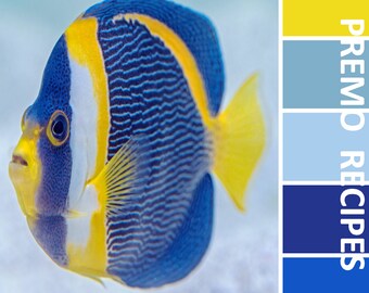 Polymer Clay Recipes #1195 - Scribbled Angelfish