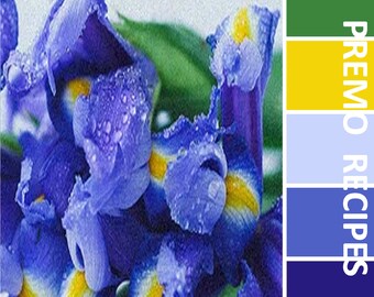 Polymer Clay Recipes #1109 - Iris