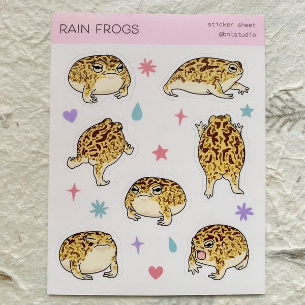 Desert Rain Frogs Sticker Sheet | Rain Frogs, Cute Animal Stickers, Frog Stickers, Common Rain Frogs