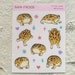 Desert Rain Frogs Sticker Sheet | Rain Frogs, Cute Animal Stickers, Frog Stickers, Common Rain Frogs
