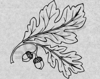 Acorns and Leaves .Svg file for use with laser and other machines