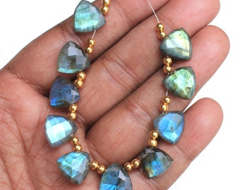 12X12X5 MM AAA Labradorite Beads: 10 Faceted Trillion Gemstones