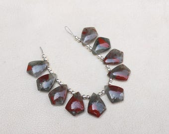 13X18X6 MM Red Bloodstone Briolette Beads: 10-Piece Strand, Fancy Shape