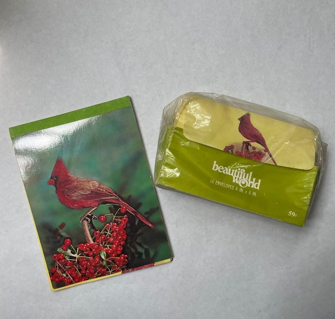 Vintage 1960s Note Paper and Envelopes Camp's Beautiful World - Etsy