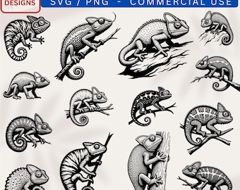 210 Chameleon Graphics Unique Design SVG Bundles for Cricut Laser Crafts and Vinyl Projects instant downloads