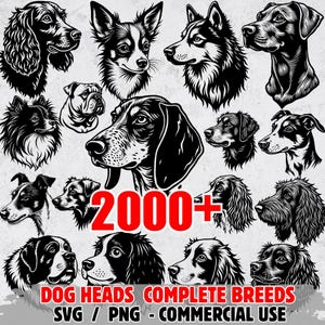 May include: Black and white illustrations of various dog breeds. The image includes the text "2000+" and "DOG HEADS COMPLETE BREEDS SVG / PNG - COMMERCIAL USE".